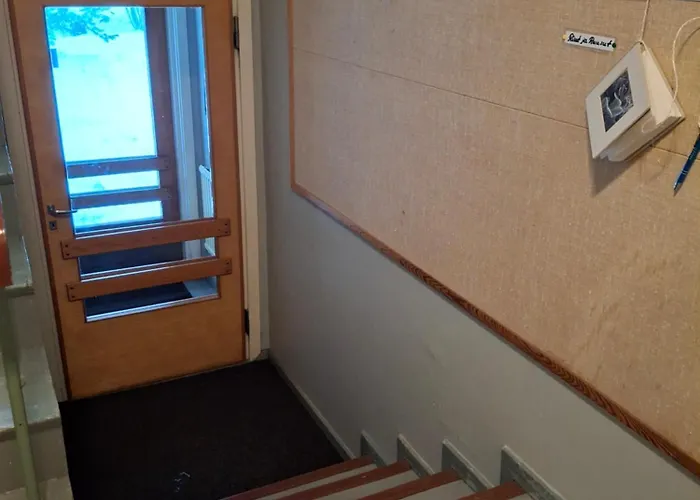 Tuulanmajoitus アパート *